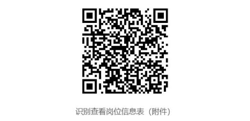 万宁市旅游文化投资有限公司招聘（岗位+报名+条件）