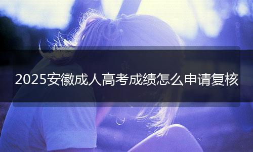 2025安徽成人高考成绩怎么申请复核