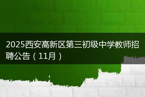 2025西安高新区第三初级中学教师招聘公告（11月）