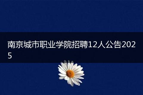 南京城市职业学院招聘12人公告2025