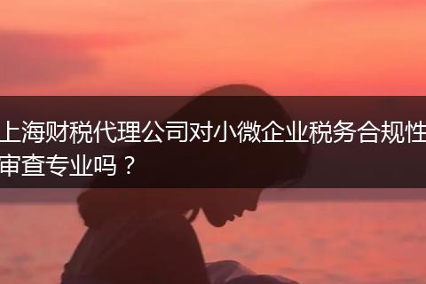 上海财税代理公司对小微企业税务合规性审查专业吗？