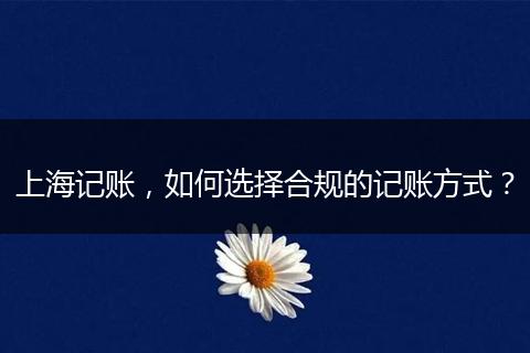 上海记账，如何选择合规的记账方式？