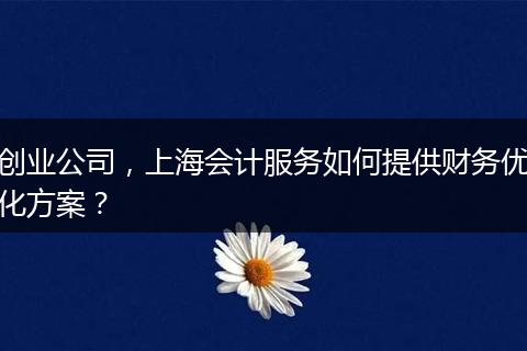 创业公司，上海会计服务如何提供财务优化方案？