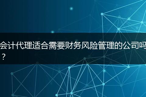 会计代理适合需要财务风险管理的公司吗？