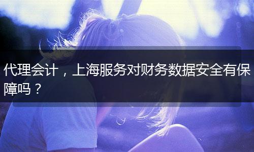 代理会计,上海服务对财务数据安全有保障吗?