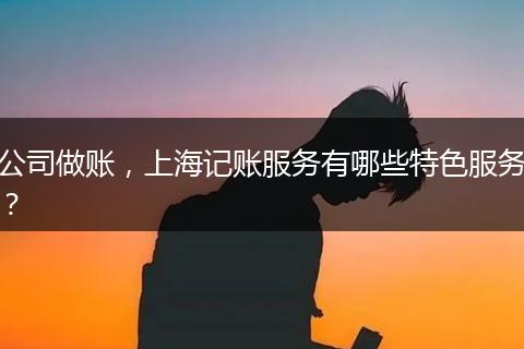 公司做账，上海记账服务有哪些特色服务？