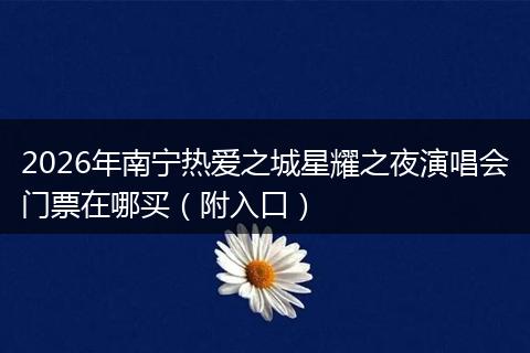 2026年南宁热爱之城星耀之夜演唱会门票在哪买（附入口）