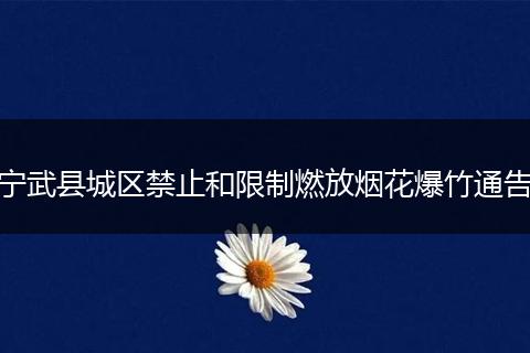 宁武县城区禁止和限制燃放烟花爆竹通告