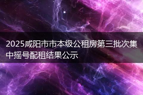 2025咸阳市市本级公租房第三批次集中摇号配租结果公示