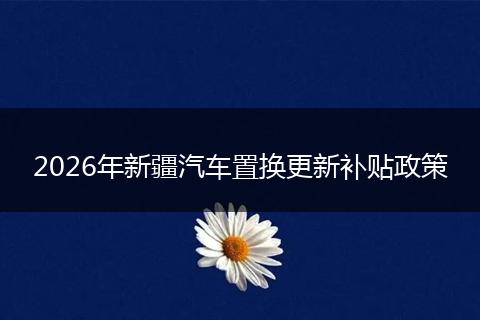 2026年新疆汽车置换更新补贴政策
