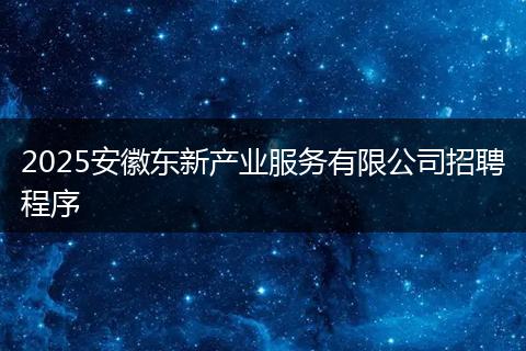 2025安徽东新产业服务有限公司招聘程序