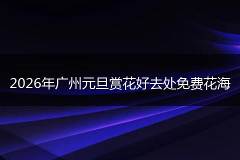 2026年广州元旦赏花好去处免费花海