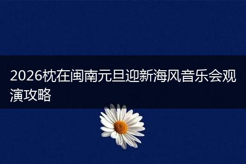2026枕在闽南元旦迎新海风音乐会观演攻略