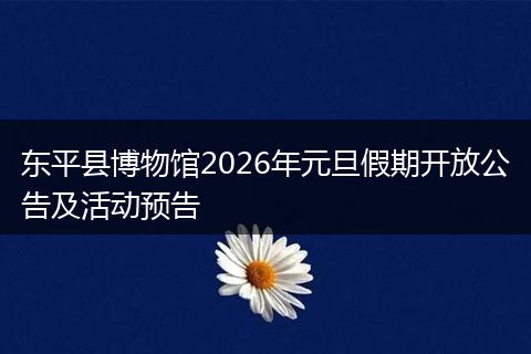 东平县博物馆2026年元旦假期开放公告及活动预告