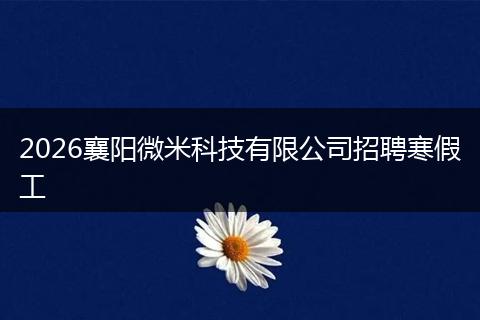 2026襄阳微米科技有限公司招聘寒假工