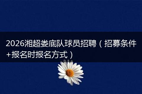 2026湘超娄底队球员招聘（招募条件+报名时报名方式）