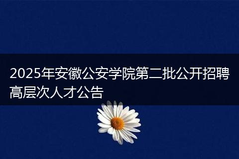 2025年安徽公安学院第二批公开招聘高层次人才公告