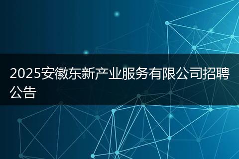 2025安徽东新产业服务有限公司招聘公告