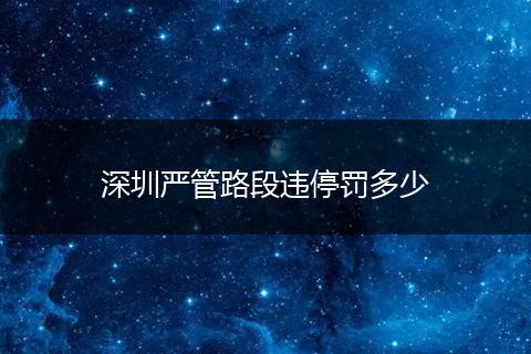 深圳严管路段违停罚多少