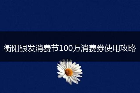 衡阳银发消费节100万消费券使用攻略