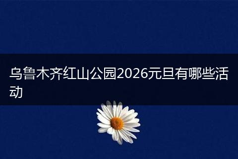 乌鲁木齐红山公园2026元旦有哪些活动