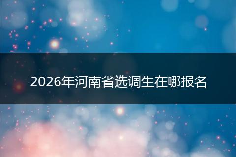 2026年河南省选调生在哪报名
