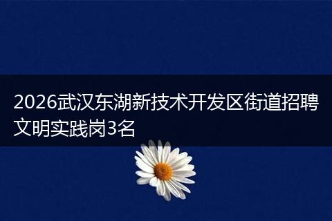 2026武汉东湖新技术开发区街道招聘文明实践岗3名