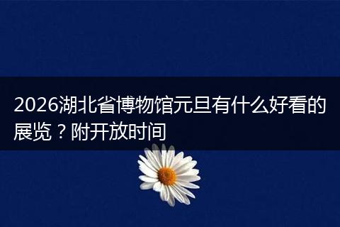 2026湖北省博物馆元旦有什么好看的展览？附开放时间