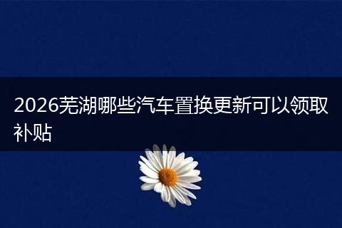 2026芜湖哪些汽车置换更新可以领取补贴