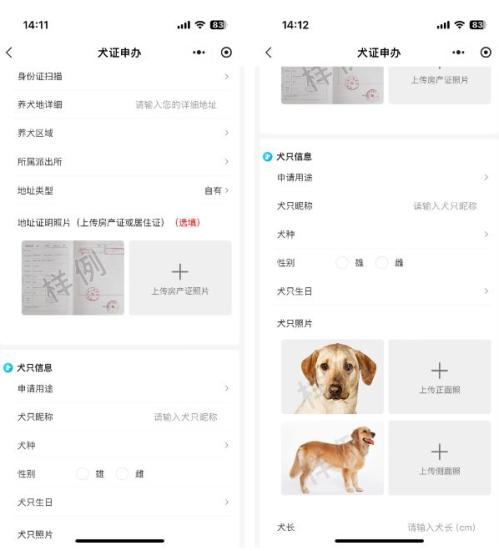 2026淮安狗证办理流程