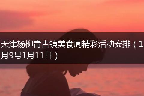 天津杨柳青古镇美食周精彩活动安排（1月9号1月11日）