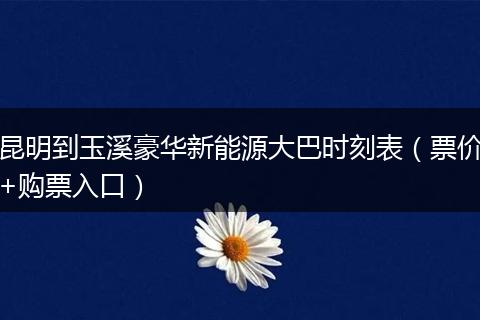 昆明到玉溪豪华新能源大巴时刻表（票价+购票入口）