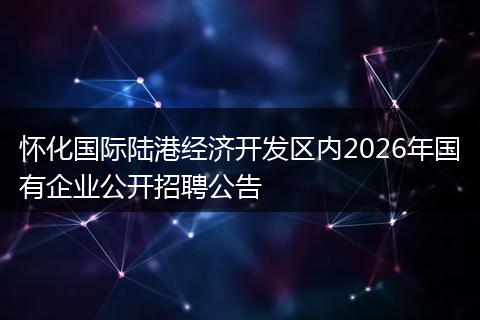 怀化国际陆港经济开发区内2026年国有企业公开招聘公告
