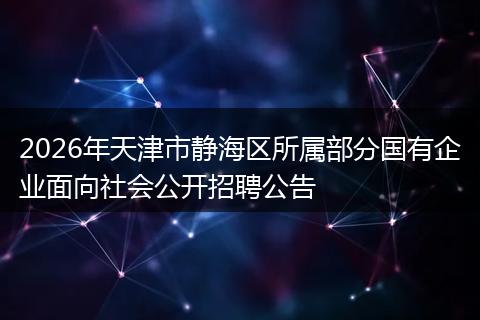2026年天津市静海区所属部分国有企业面向社会公开招聘公告