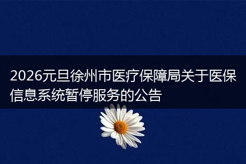 2026元旦徐州市医疗保障局关于医保信息系统暂停服务的公告