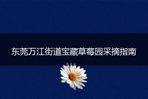 东莞万江街道宝藏草莓园采摘指南