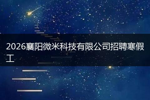 2026襄阳微米科技有限公司招聘寒假工