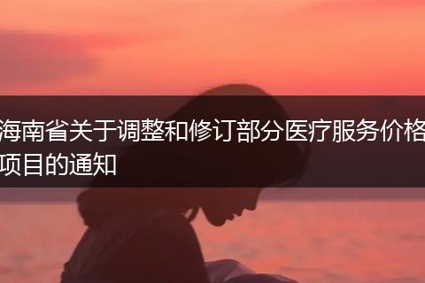 海南省关于调整和修订部分医疗服务价格项目的通知