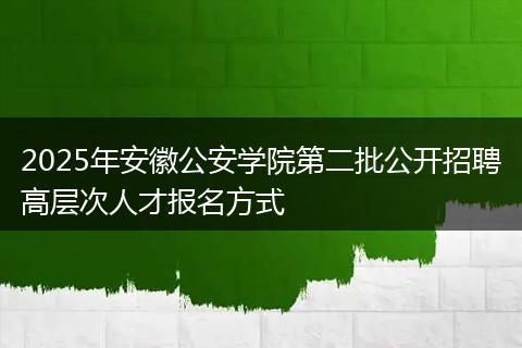 2025年安徽公安学院第二批公开招聘高层次人才报名方式