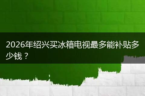 2026年绍兴买冰箱电视最多能补贴多少钱？