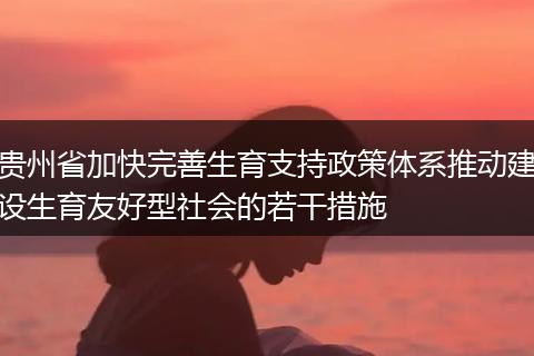 贵州省加快完善生育支持政策体系推动建设生育友好型社会的若干措施