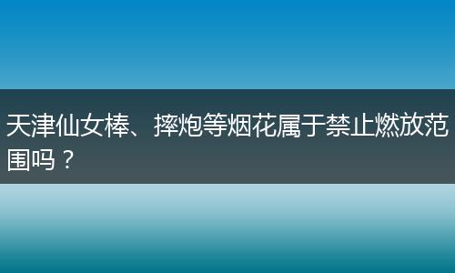 天津仙女棒、摔炮等烟花属于禁止燃放范围吗？