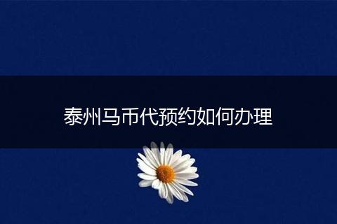 泰州马币代预约如何办理