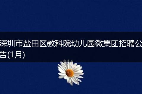 深圳市盐田区教科院幼儿园微集团招聘公告(1月)