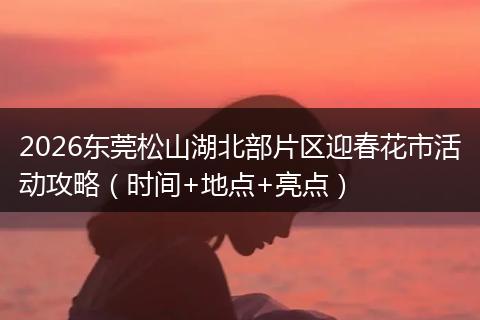 2026东莞松山湖北部片区迎春花市活动攻略（时间+地点+亮点）
