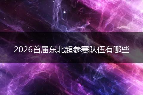 2026首届东北超参赛队伍有哪些