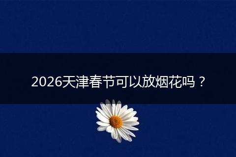 2026天津春节可以放烟花吗？