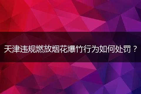 天津违规燃放烟花爆竹行为如何处罚？