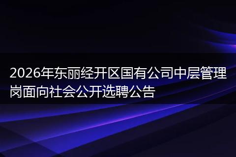 2026年东丽经开区国有公司中层管理岗面向社会公开选聘公告