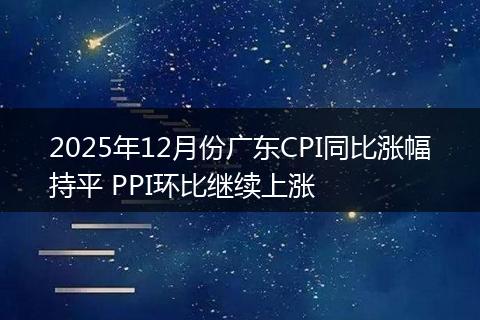 2025年12月份广东CPI同比涨幅持平 PPI环比继续上涨